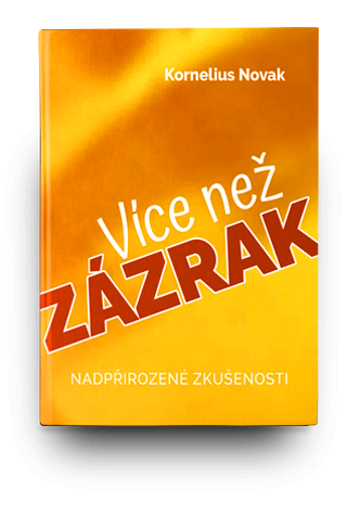 vice_nez_zazrak-compr